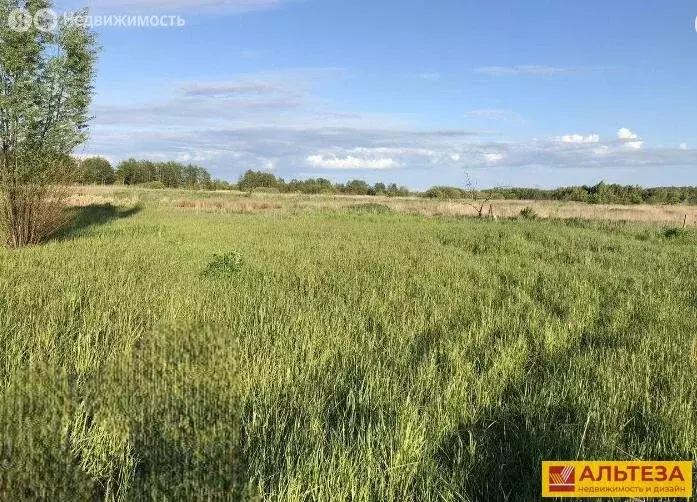 Участок в Калининградская область, Зеленоградский муниципальный округ, ... - Фото 1