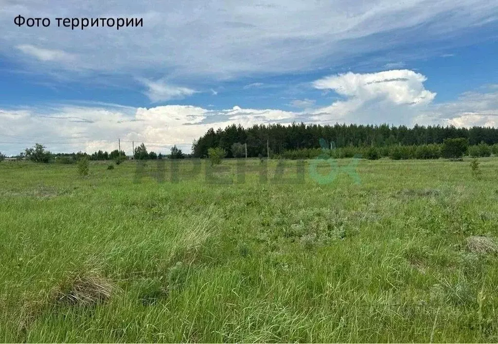 Участок в Татарстан, Лаишевский район, с. Сокуры  (6.0 сот.) - Фото 1