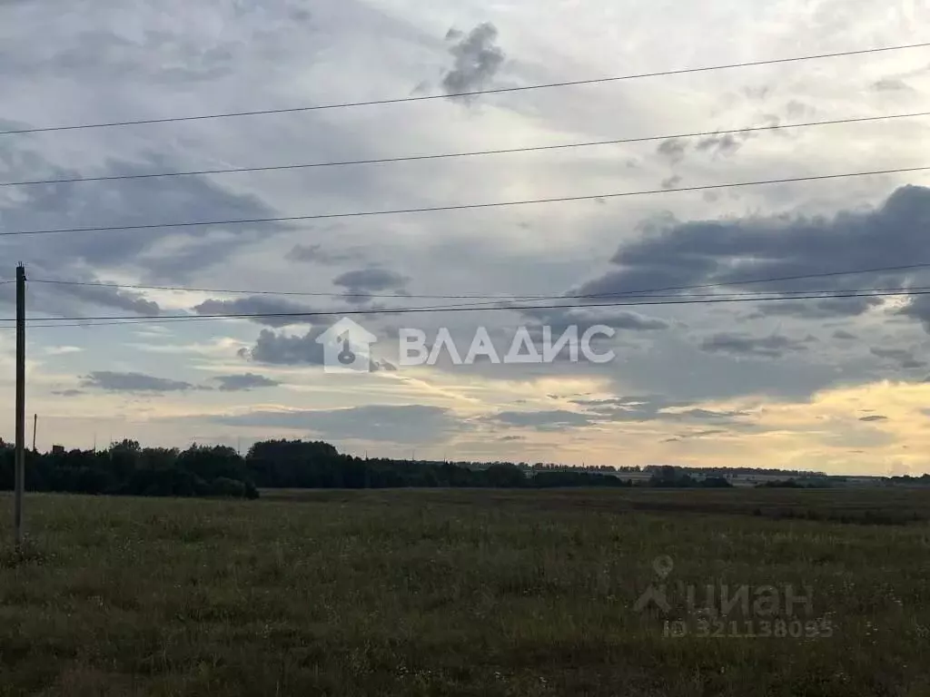 Участок в Пензенская область, с. Бессоновка, Рябинушка садоводческое ... - Фото 1