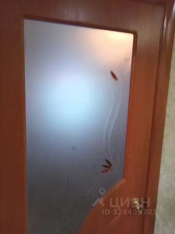 1-к кв. Иркутская область, Усть-Илимск ул. Интернационалистов, 10 ... - Фото 2