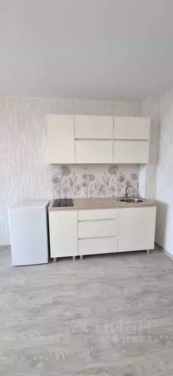 Студия Пермский край, д. Кондратово ул. Водопроводная, 6/1 (26.0 м) - Фото 2