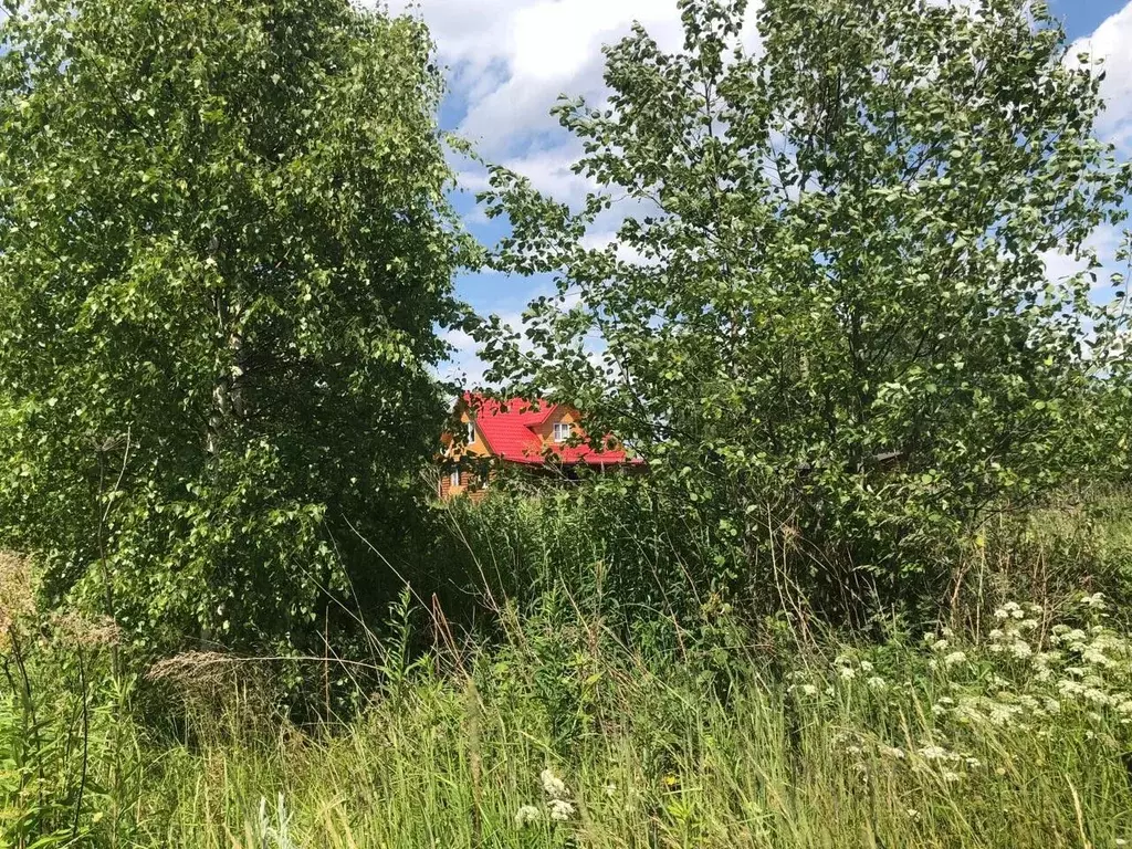 Участок в Московская область, Можайский муниципальный округ, д. ... - Фото 2