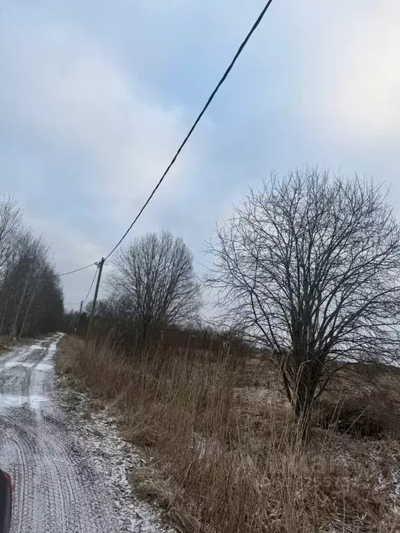 Участок в Ленинградская область, Приозерский район, Ромашкинское ... - Фото 2