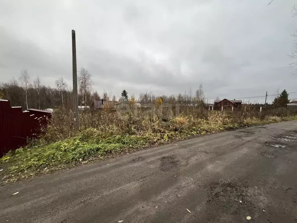 Участок в Архангельская область, Приморский муниципальный округ, ... - Фото 1