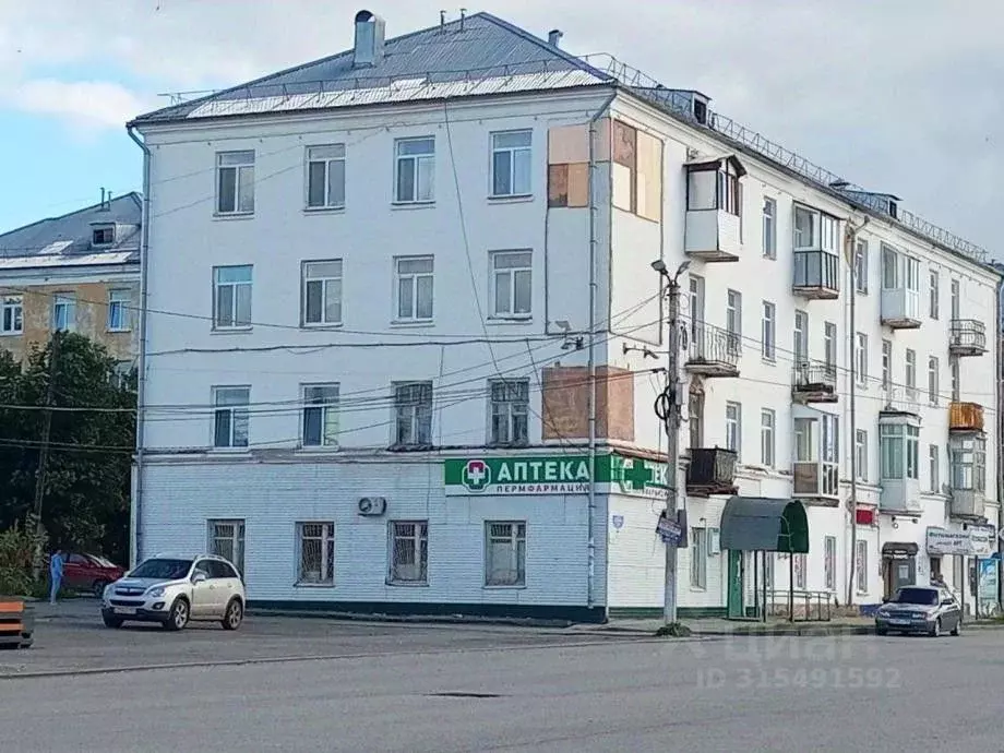 3-к кв. Пермский край, Соликамск Набережная ул., 109 (73.5 м) - Фото 0