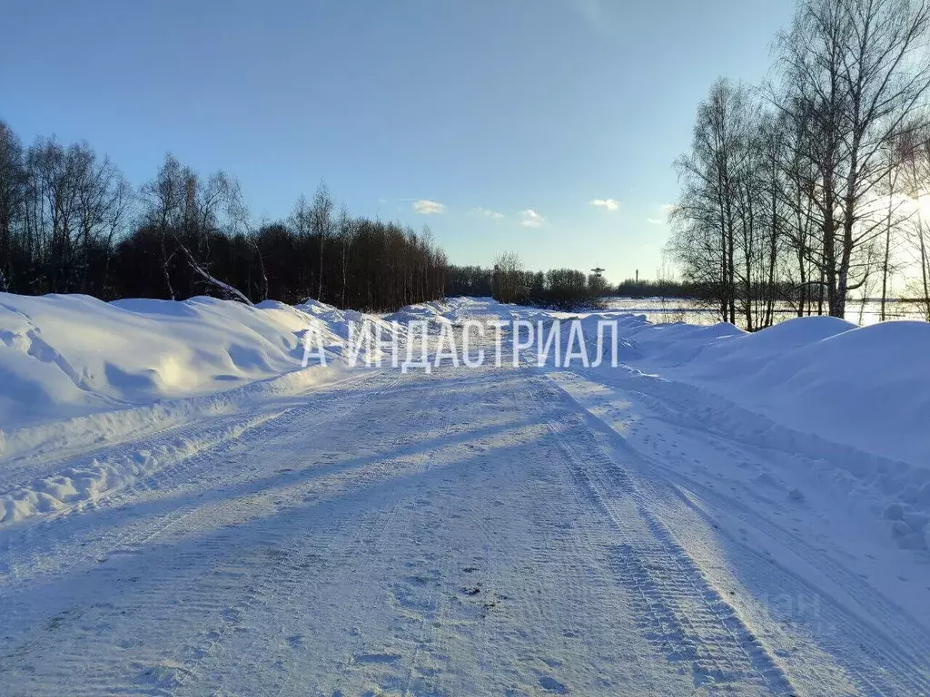 Участок в Московская область, Подольск городской округ, д. Дмитрово 35 ... - Фото 1