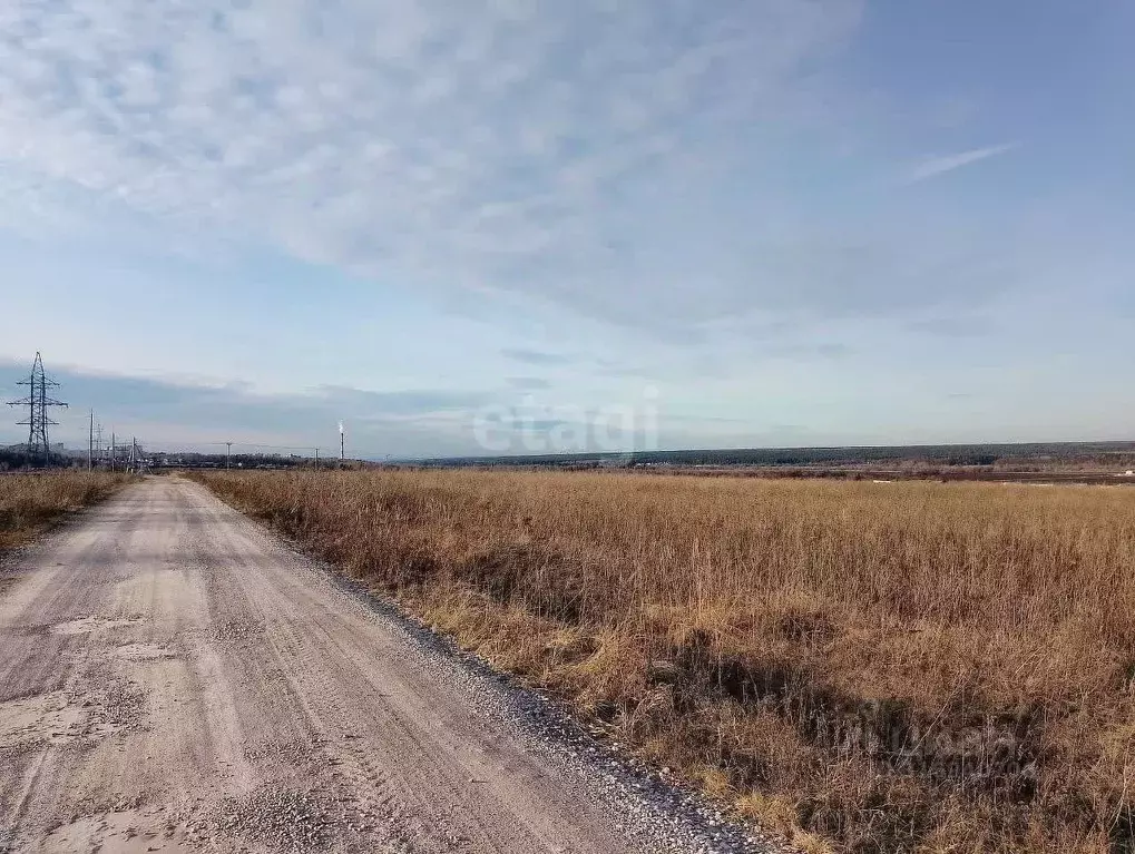 Участок в Московская область, Серпухов городской округ, д. Балково ул. ... - Фото 0