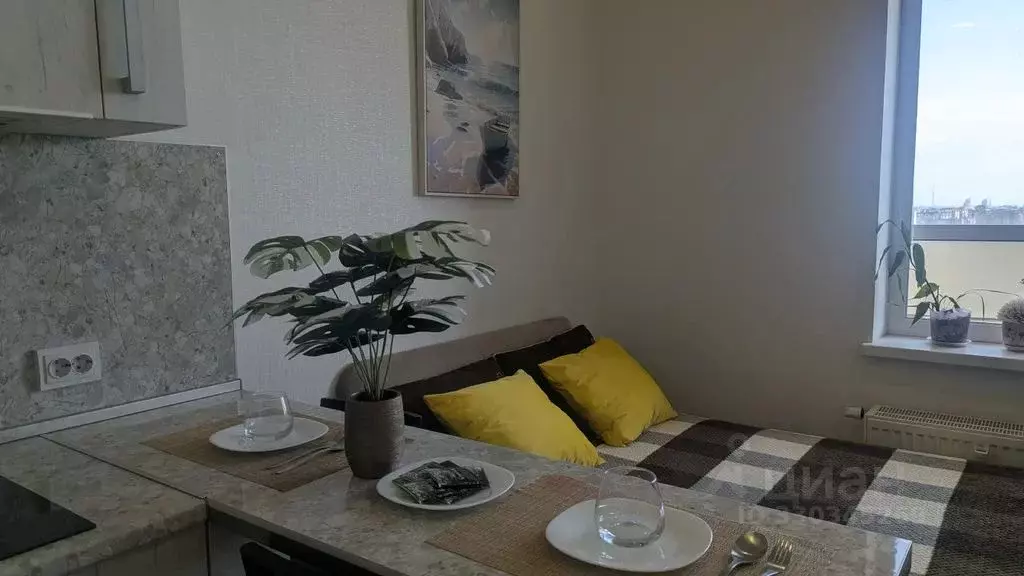 Студия Санкт-Петербург ул. Плесецкая, 14 (27.0 м) - Фото 2