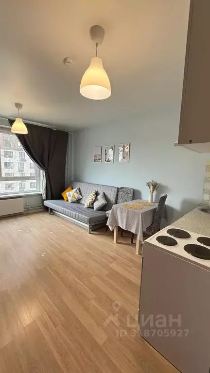 Студия Санкт-Петербург просп. Орлово-Денисовский, 19к3 (25.8 м) - Фото 1