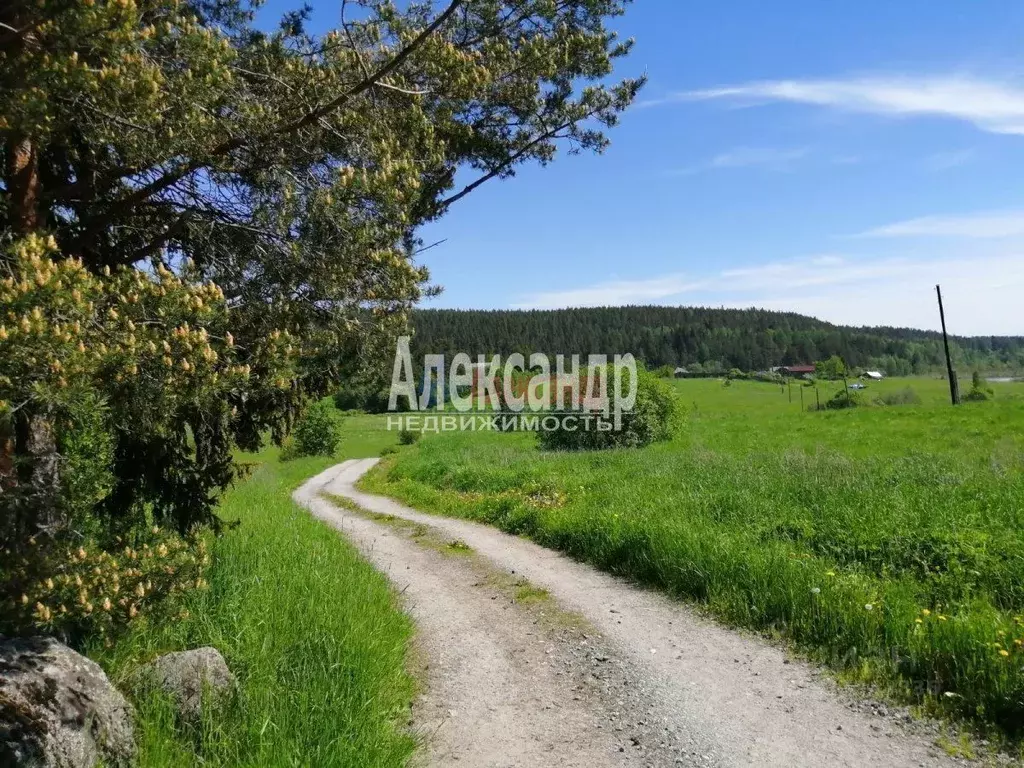 Участок в Карелия, Лахденпохский муниципальный округ, пос. Микли  ... - Фото 1