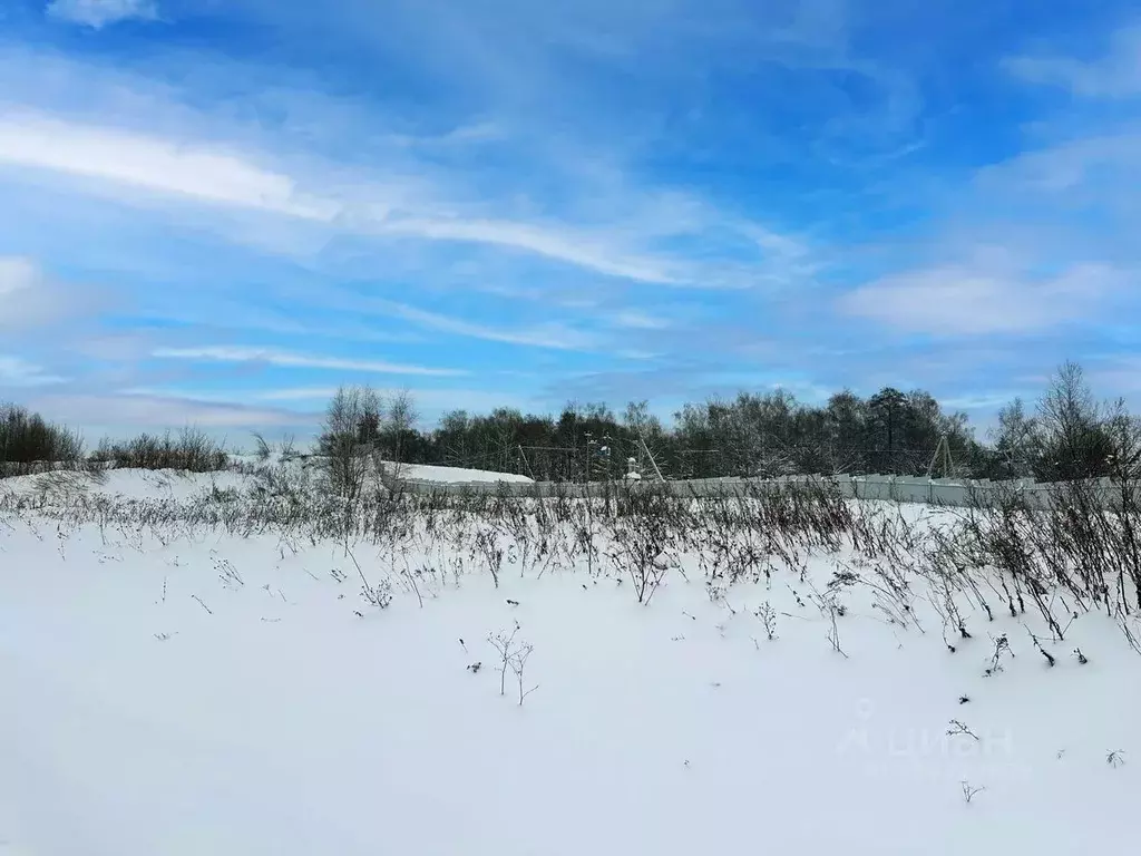 Участок в Московская область, Раменский муниципальный округ, с. ... - Фото 2
