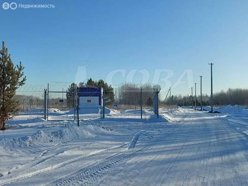 Участок в Нижнетавдинский район, Черепановское сельское поселение (8 ... - Фото 0