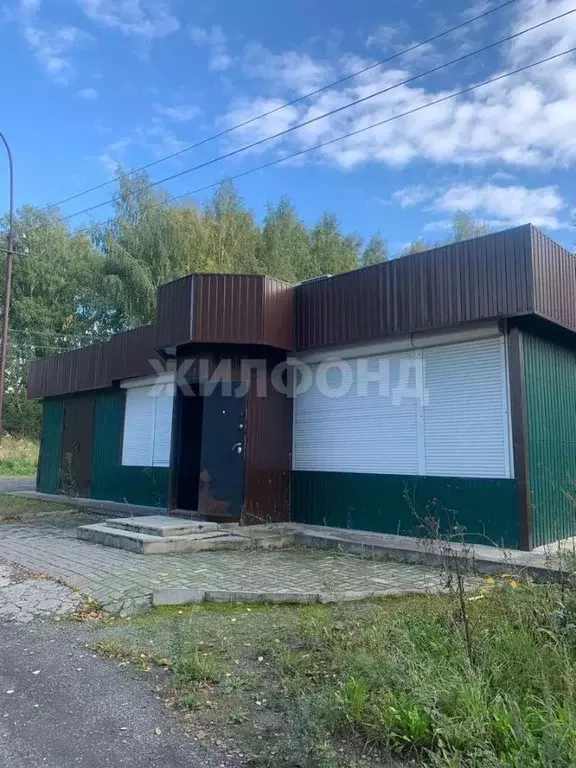 Торговая площадь в Новосибирская область, Тогучинский район, Горный рп ... - Фото 1