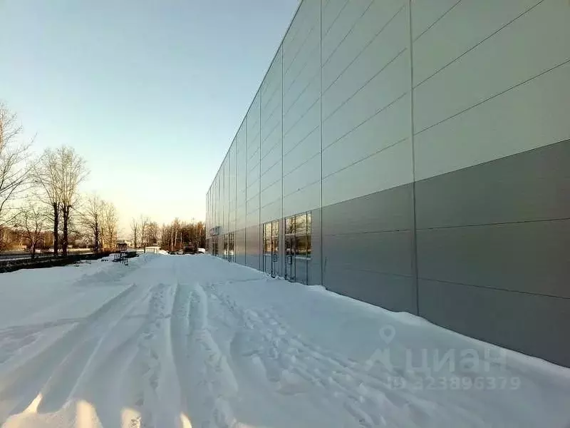 Торговая площадь в Нижегородская область, Нижний Новгород Московское ... - Фото 2