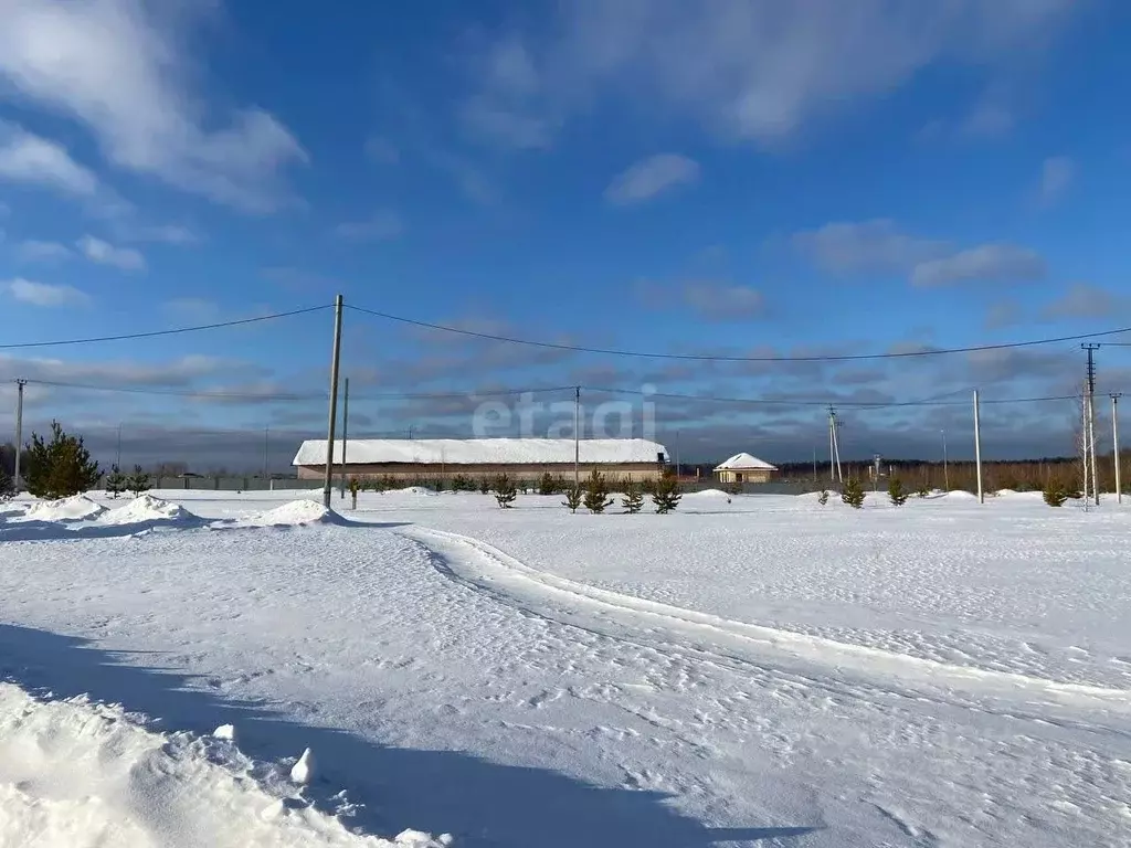 Участок в Свердловская область, Белоярский муниципальный округ, с. ... - Фото 2