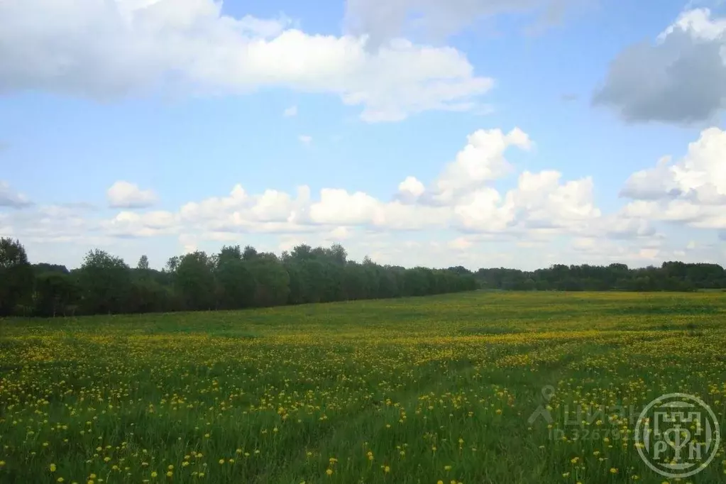 Участок в Ленинградская область, Выборгский район, Красносельское ... - Фото 2