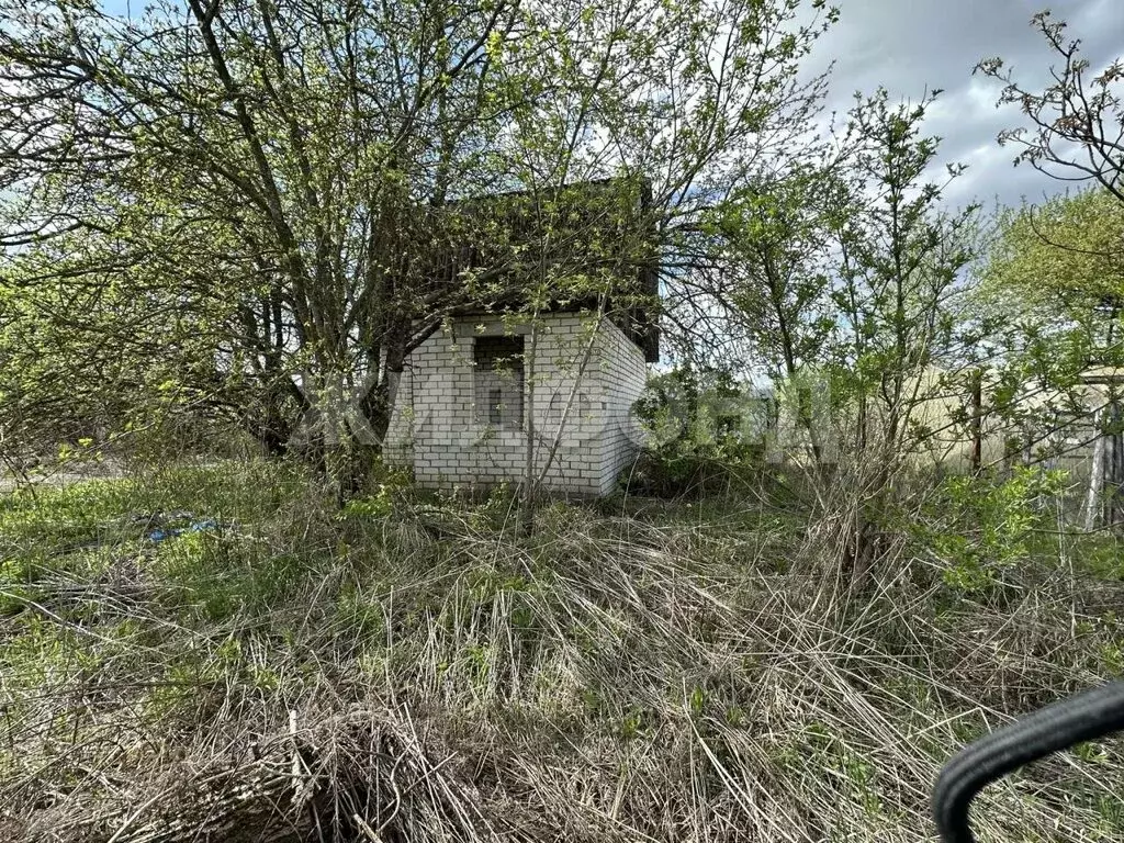 Участок в село Толмачево, СДТ Калинка (11 м) - Фото 2