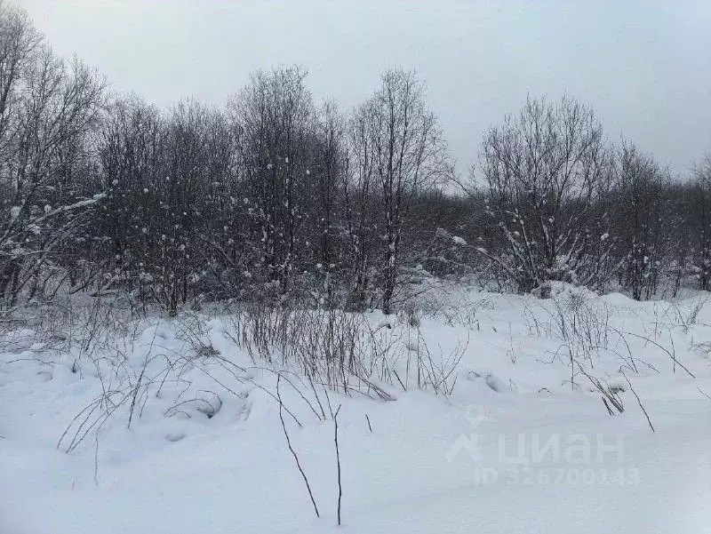 Участок в Архангельская область, Архангельск ул. Севстрой (10.0 сот.) - Фото 2