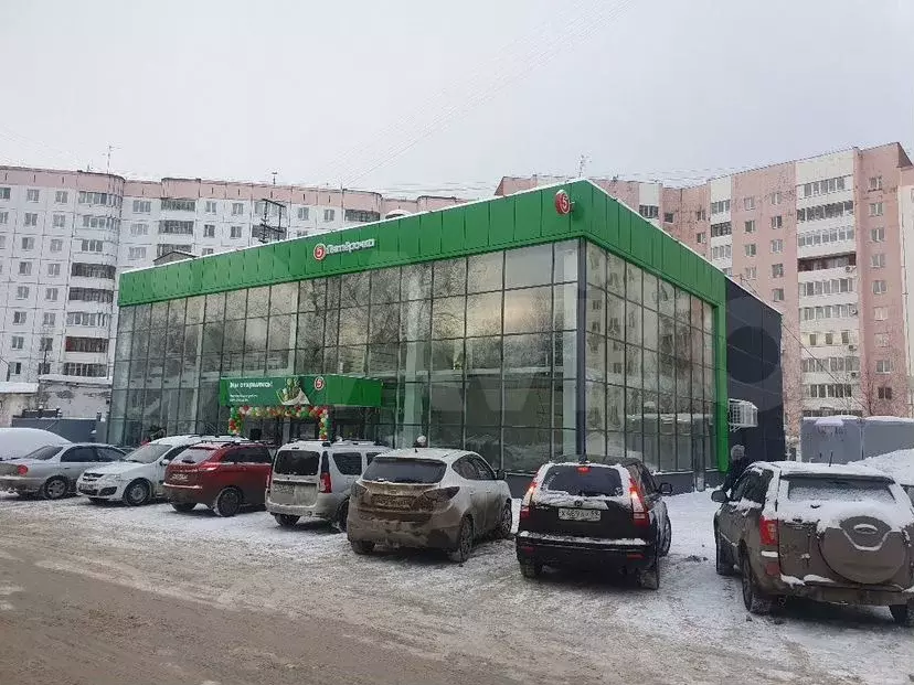 Пермь, улица Солдатова, 29А, 17 м - Фото 0