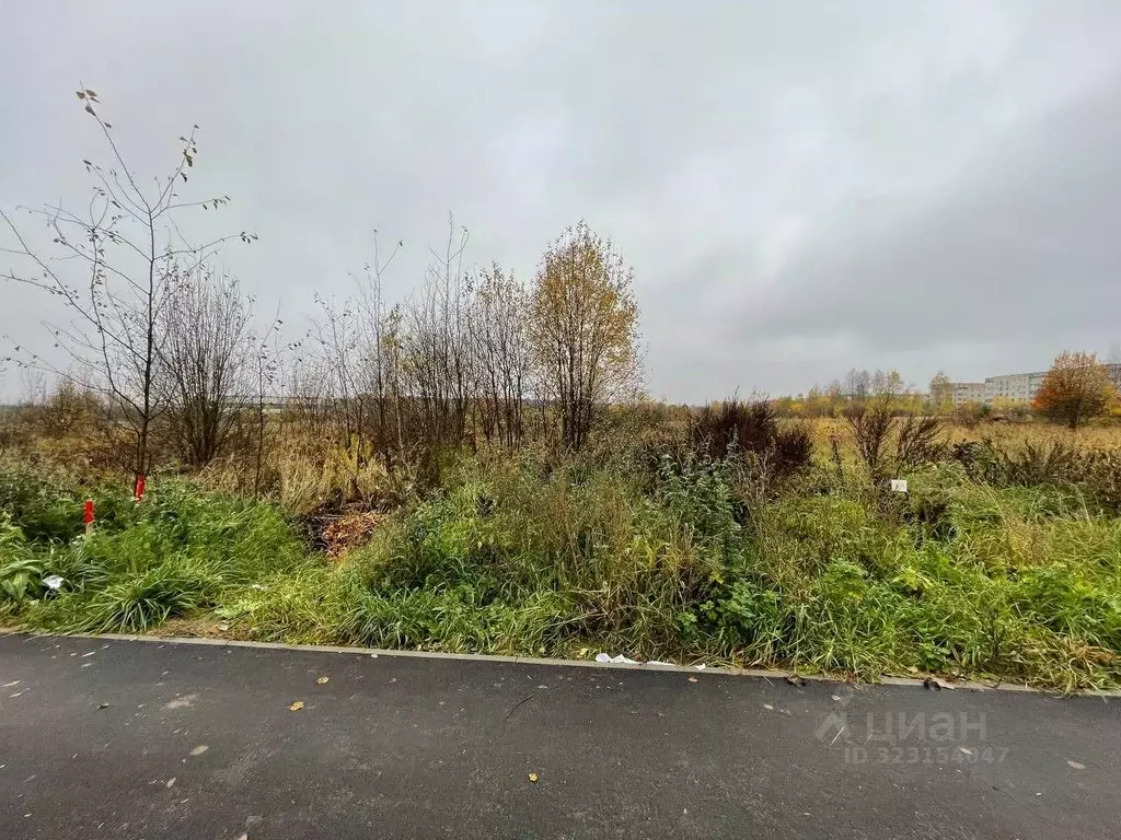 Участок в Калужская область, Жуков  (21.0 сот.) - Фото 2