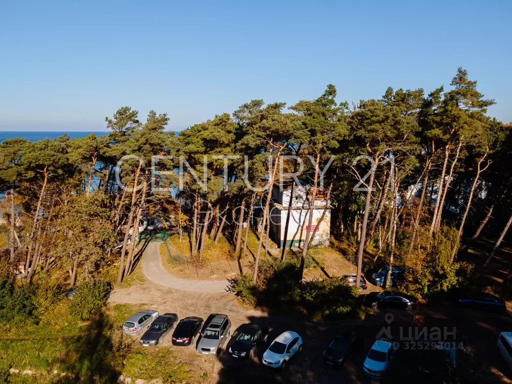 Участок в Калининградская область, Светлогорск Балтийская ул., 25А ... - Фото 1