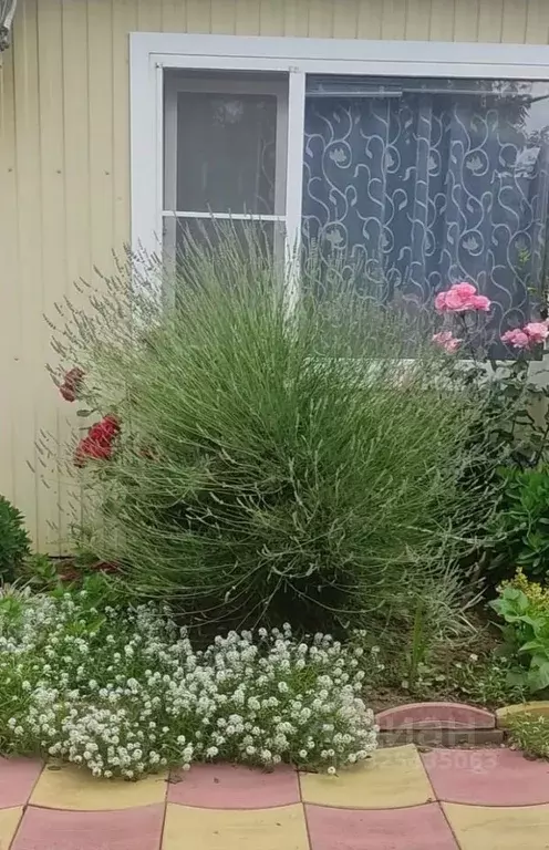 Дом в Краснодарский край, Темрюкский район, Ахтанизовское с/пос, пос. ... - Фото 1