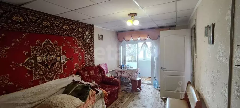 2-к кв. Брянская область, Брянск ул. Костычева, 41к2 (31.0 м) - Фото 0