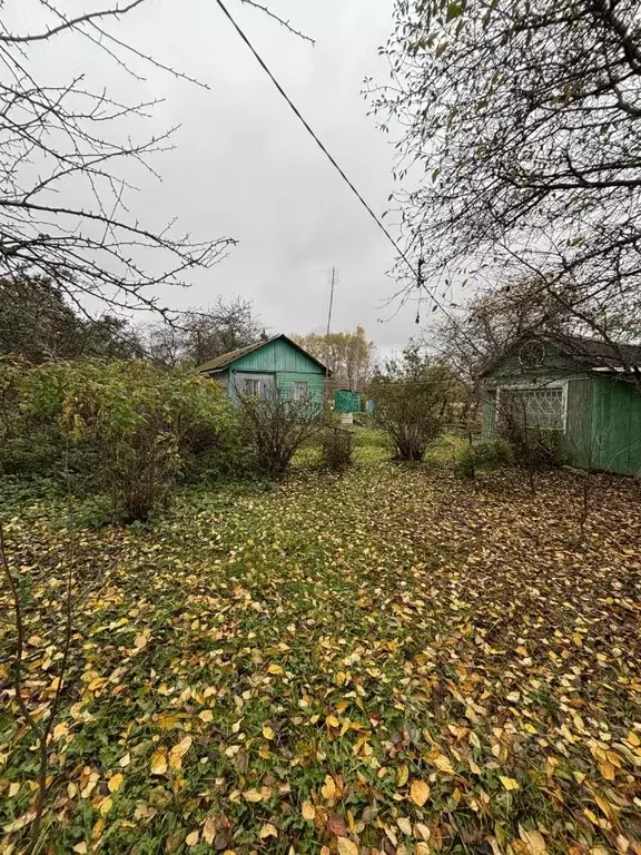 Дом в Калужская область, Мещовский муниципальный округ, Кудринская ... - Фото 2