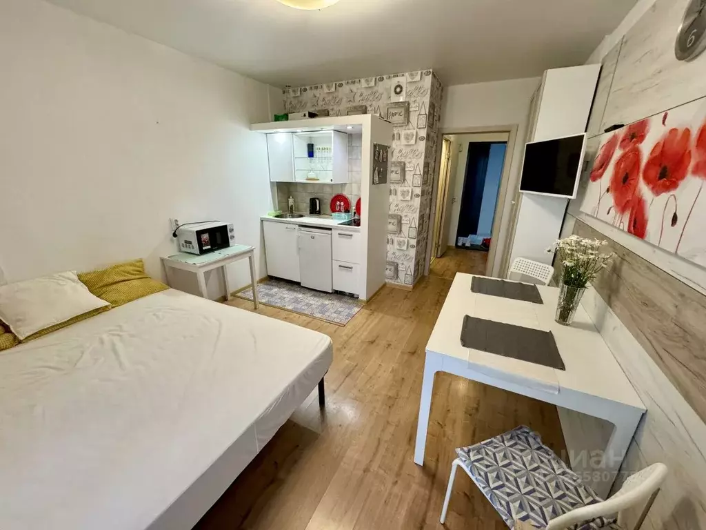 Студия Санкт-Петербург бул. Головнина, 10 (25.0 м) - Фото 2