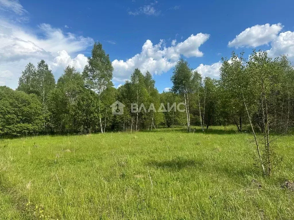 Участок в Московская область, Серпухов городской округ, д. Агарино  ... - Фото 1