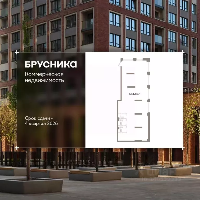 Помещение свободного назначения в Новосибирская область, Новосибирск ... - Фото 1