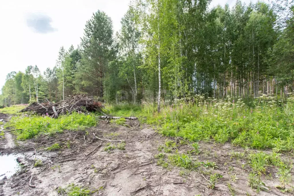 Участок в Тобольск, микрорайон Усадьба (7 м) - Фото 1