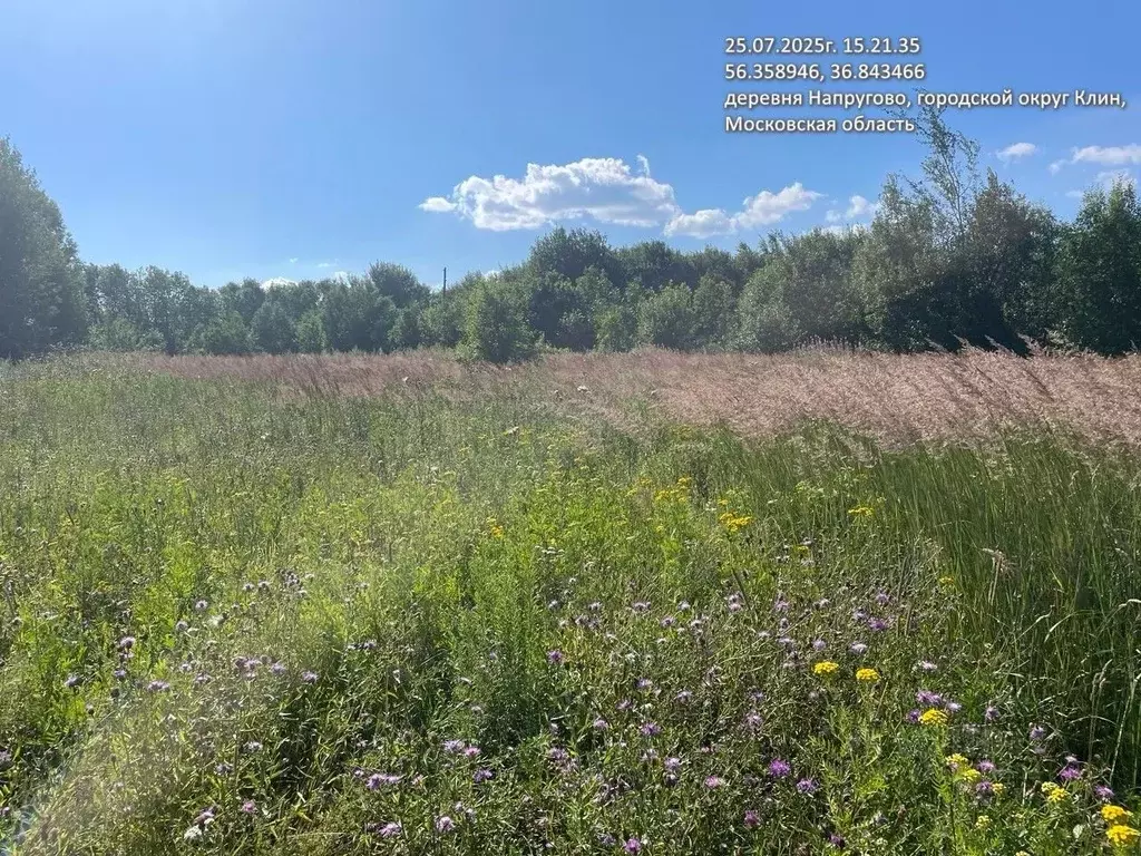 Участок в Московская область, Клин городской округ, д. Напругово  (8.4 ... - Фото 0