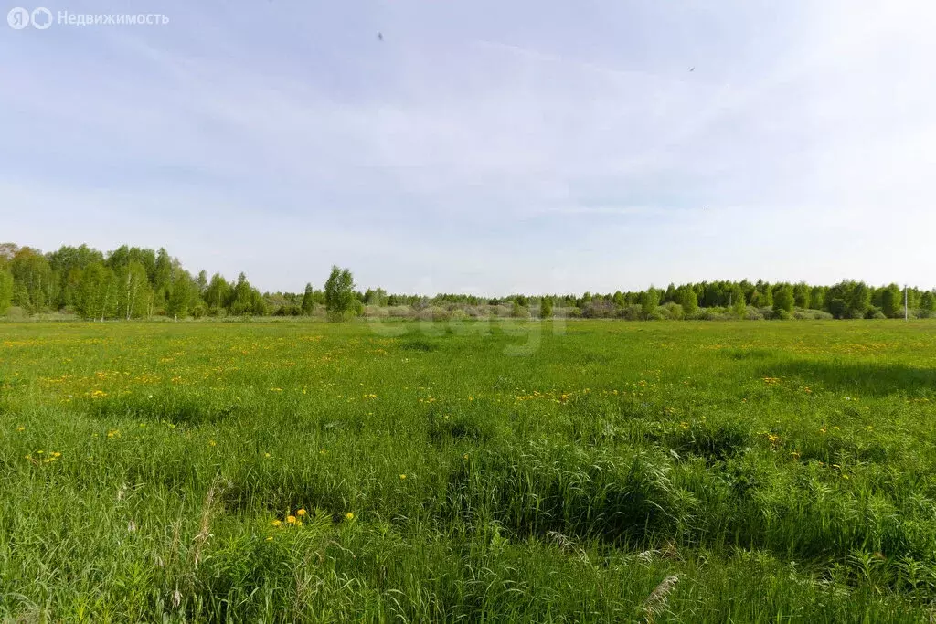 Участок в Тульская область, городской округ Алексин, село Бунырево ... - Фото 2