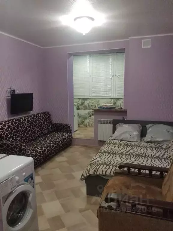 Студия Пензенская область, Пензенский район, Засечный сельсовет, с. ... - Фото 1