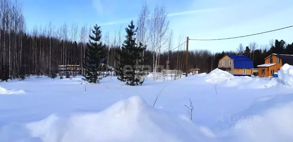 Участок в Ханты-Мансийский АО, Ханты-Мансийск Светлана СОТ,  (6.2 ... - Фото 0