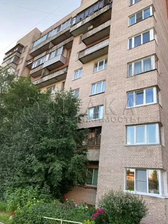 1-к кв. Санкт-Петербург ул. Чекистов, 38 (29.0 м) - Фото 2