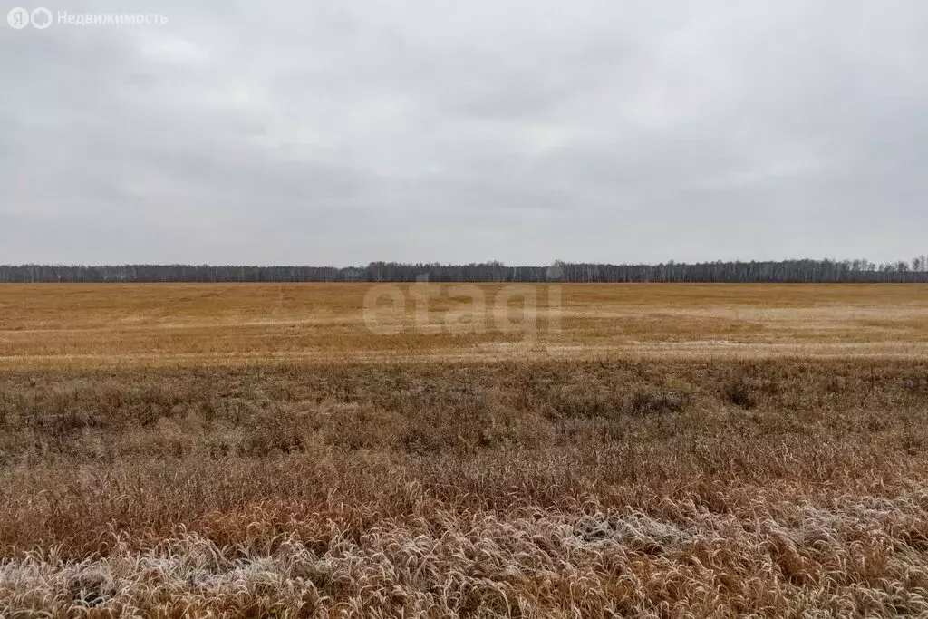 Участок в Ишим, улица Валерия Медведева (7.4 м) - Фото 2