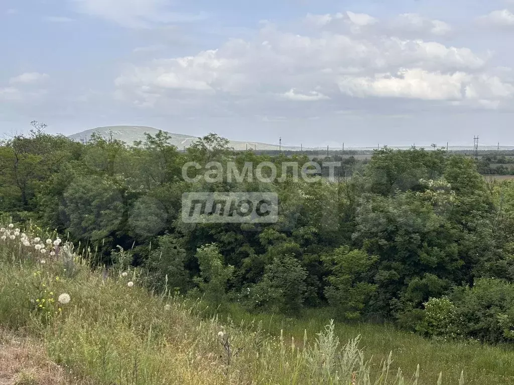 Участок 80 сот. (СНТ, ДНП) - Фото 1
