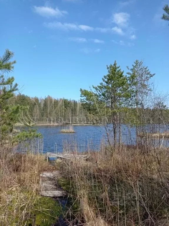 Дом в Ленинградская область, Всеволожский район, Рахьинское городское ... - Фото 1