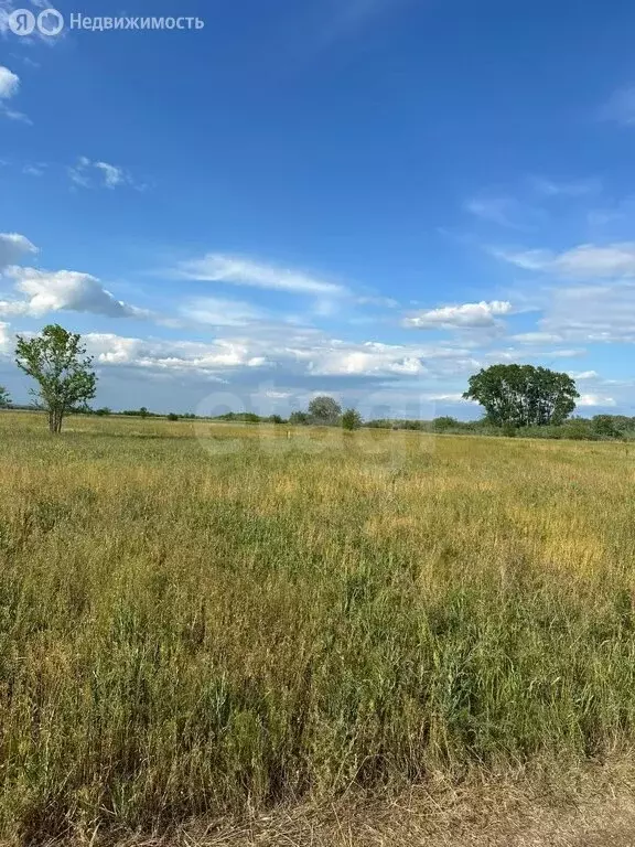 Участок в Новочеркасск, садовое товарищество № 2 АО Магнит (704 м) - Фото 1