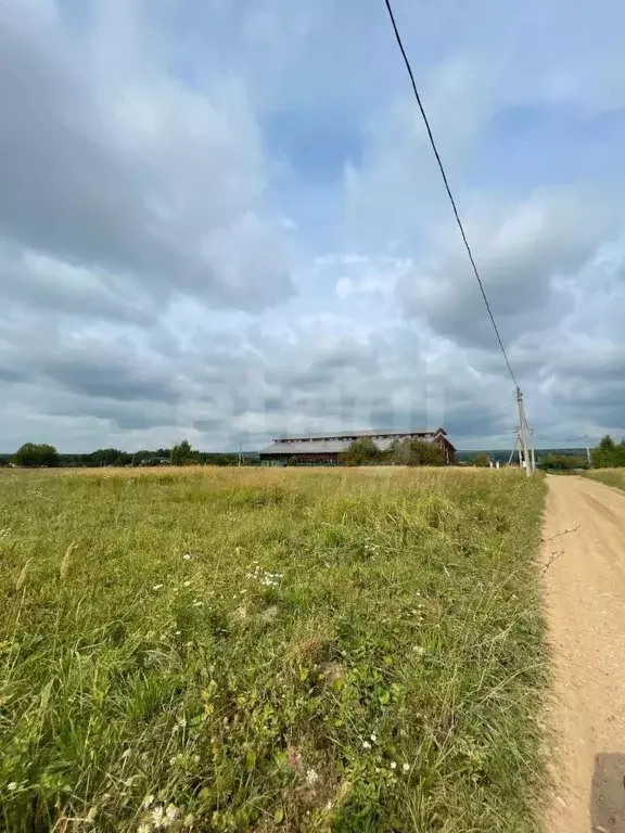Участок в Калужская область, Тарусский муниципальный округ, Похвиснево ... - Фото 2