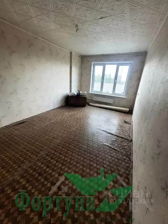 2-к кв. Владимирская область, Кольчугино ул. Ленина, 11А (44.5 м) - Фото 1