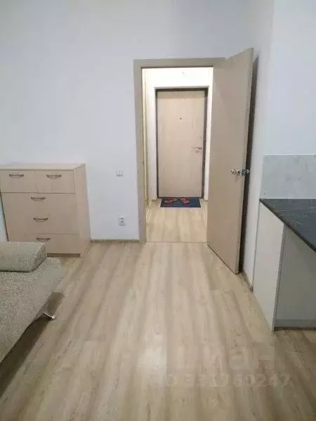 Студия Свердловская область, Екатеринбург ул. Рябинина, 47 (27.0 м) - Фото 2