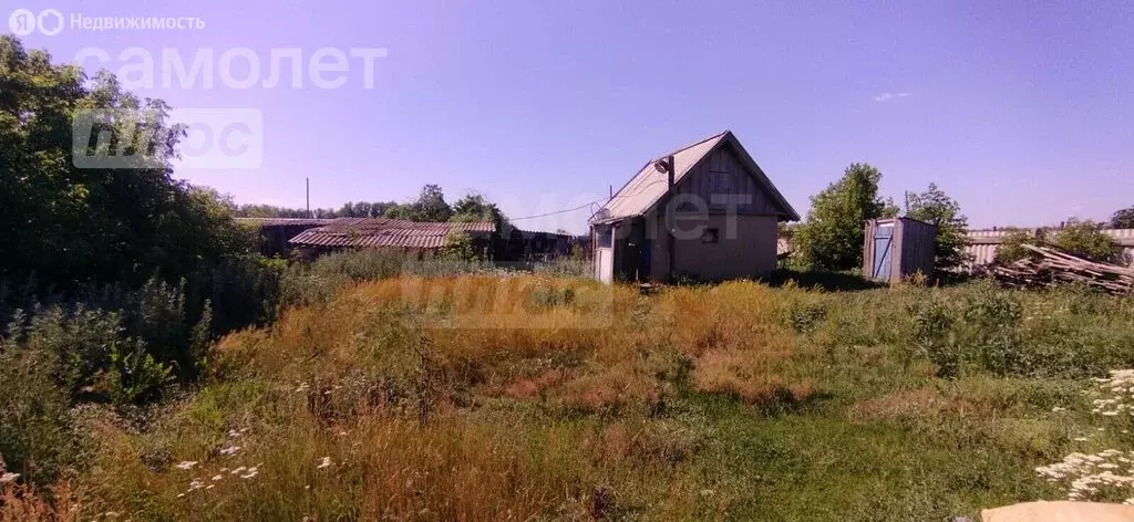 Дом в Беляевский район, Крючковский сельсовет, село Буранчи (72.3 м) - Фото 0