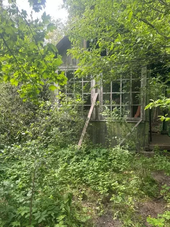 Участок в Воронеж, микрорайон Тенистый (6.48 м) - Фото 2