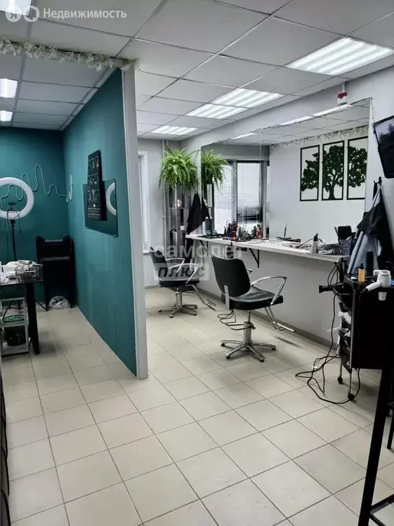 Помещение свободного назначения (31 м) - Фото 1