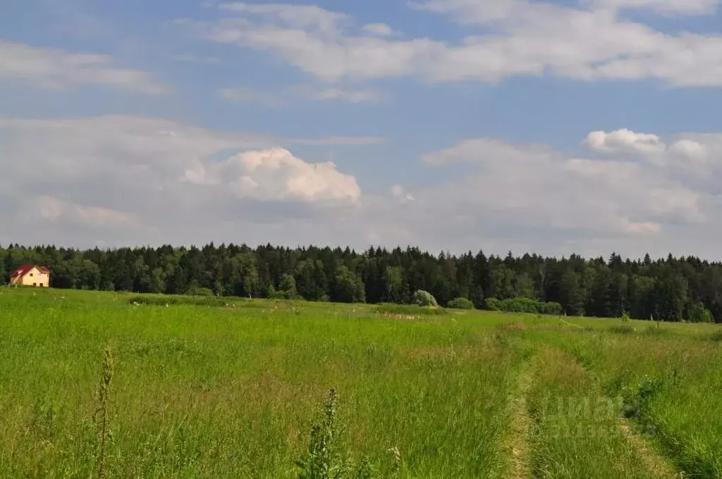 Участок в Московская область, Чехов городской округ, пос. Любучаны  ... - Фото 0