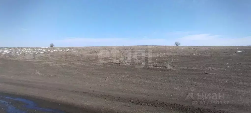 Участок в Крым, Симферопольский район, с. Урожайное, Аэрофлот ТСН  ... - Фото 1