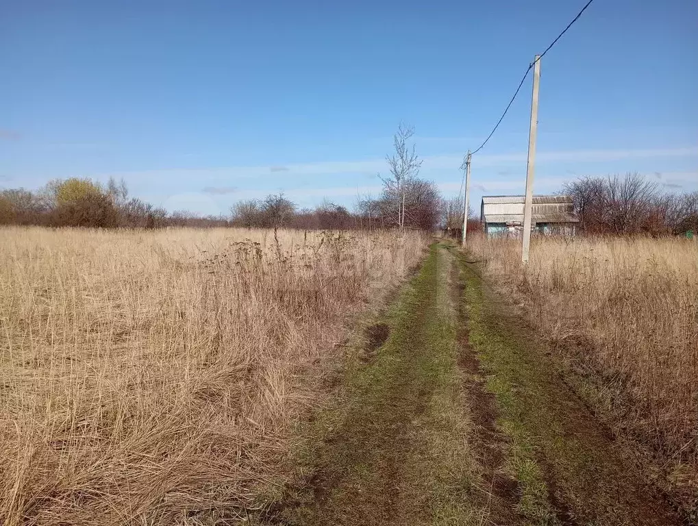 Участок 10 сот. (СНТ, ДНП) - Фото 0